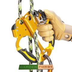 Petzl Ascentree Double Handle Ascender